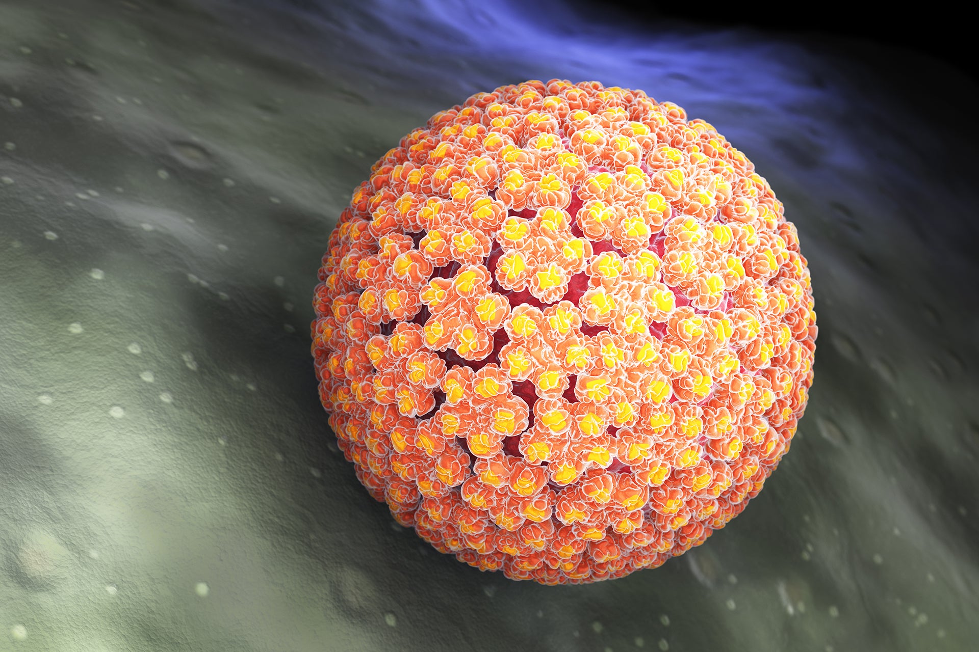 HPV rimedi naturali che funzionano e privi di controindicazioni